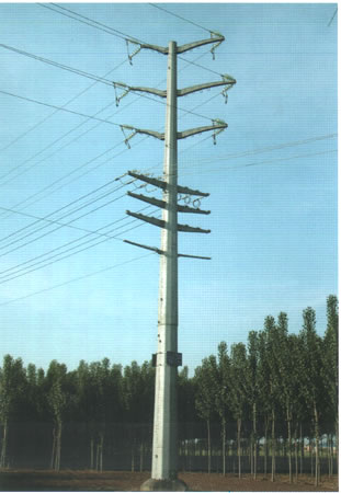 ָ